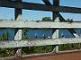 fish-coop-taree 026
